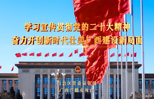 學(xué)習(xí)宣傳貫徹黨的二十大精神奮力開創(chuàng)新時(shí)代壯美廣西建設(shè)新局面